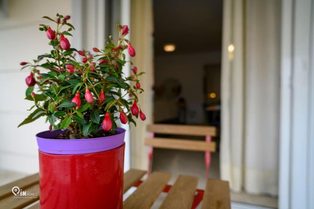 Thyme Out In Athens Apartment Exterior photo